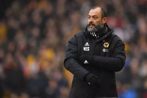 狼队贝壳哥吃瓜爆料